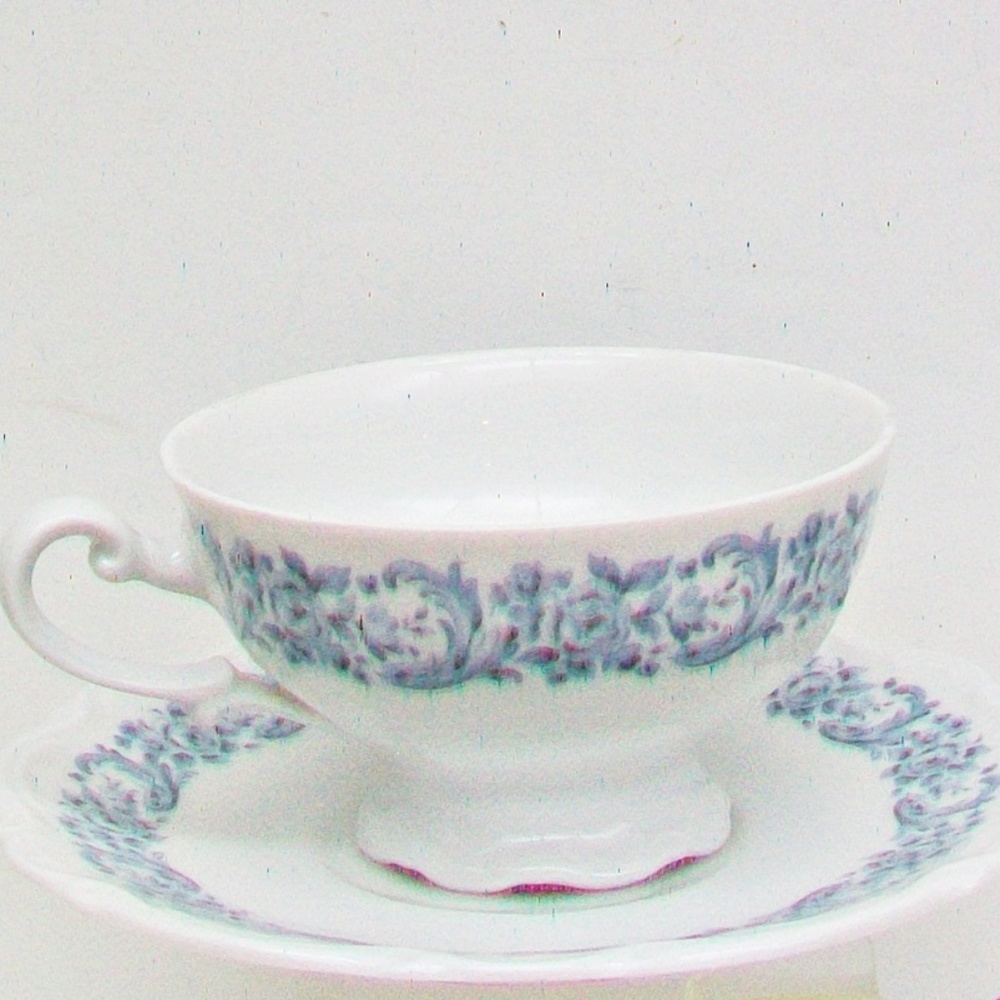 Mitterteich TARA Cup & Saucer Set Bavaria Germany
